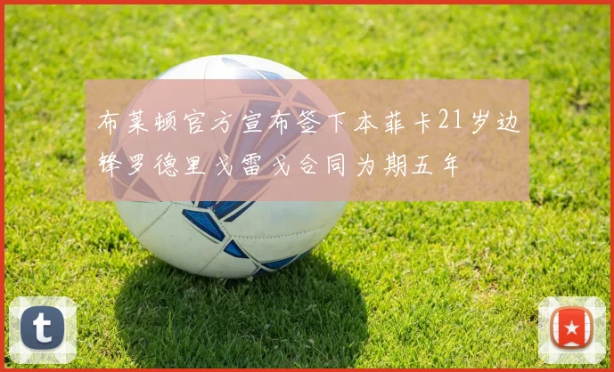 布莱顿官方宣布签下本菲卡21岁边锋罗德里戈雷戈合同为期五年