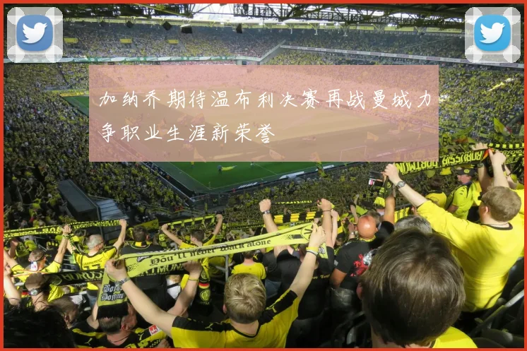 加纳乔期待温布利决赛再战曼城力争职业生涯新荣誉